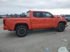 2024 Toyota Tacoma Double Cab