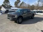 2019 Ford F150 Raptor