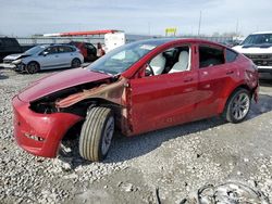 Salvage cars for sale at Cahokia Heights, IL auction: 2023 Tesla Model Y