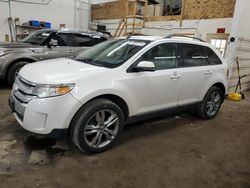 2014 Ford Edge SEL en venta en Ham Lake, MN