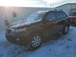 Salvage cars for sale at Albany, NY auction: 2012 KIA Sorento Base