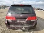 2008 Honda Odyssey EXL