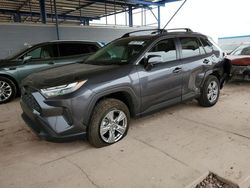 Salvage cars for sale at Phoenix, AZ auction: 2023 Toyota Rav4 XLE