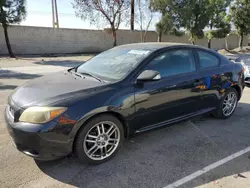 Salvage cars for sale from Copart Rancho Cucamonga, CA: 2006 Scion TC