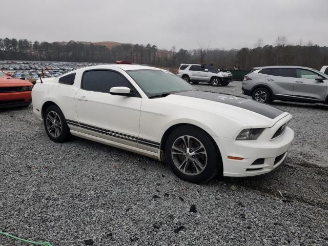 2013 Ford Mustang