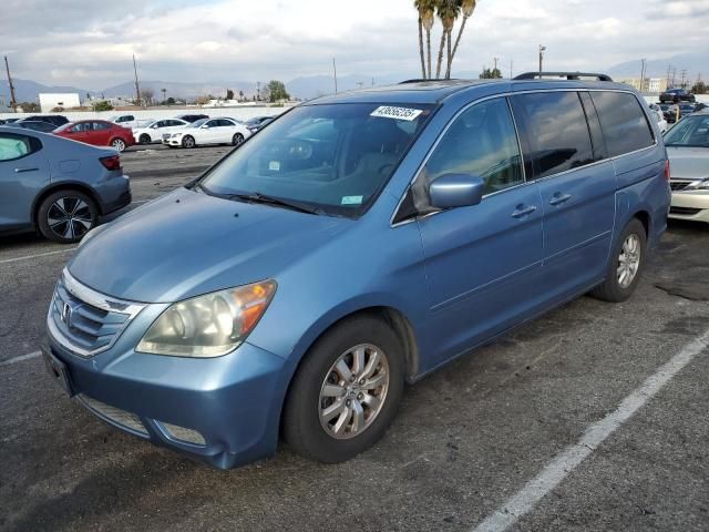 2008 Honda Odyssey EXL