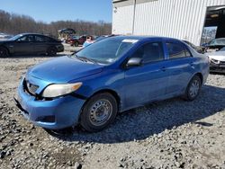 Salvage cars for sale at Windsor, NJ auction: 2010 Toyota Corolla Base