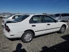 1996 Honda Accord DX