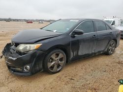 Salvage cars for sale at San Antonio, TX auction: 2014 Toyota Camry L