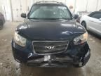 2007 Hyundai Santa FE SE