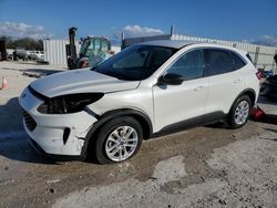 Salvage cars for sale at Arcadia, FL auction: 2022 Ford Escape SE