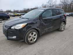 Salvage cars for sale at Ellwood City, PA auction: 2014 Ford Escape SE