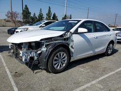 Carros salvage a la venta en subasta: 2016 Toyota Camry LE