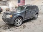 2008 Ford Escape Limited