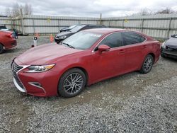 Lexus salvage cars for sale: 2017 Lexus ES 350