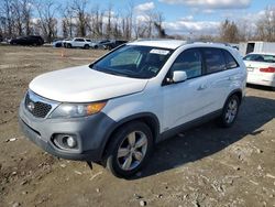 Salvage cars for sale at Baltimore, MD auction: 2012 KIA Sorento EX