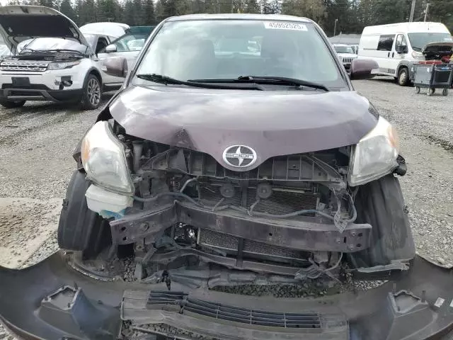 2010 Scion XD