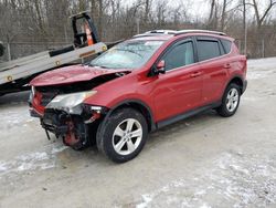 Salvage cars for sale at Northfield, OH auction: 2014 Toyota Rav4 XLE