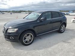 Salvage cars for sale at Arcadia, FL auction: 2013 Audi Q5 Premium Plus