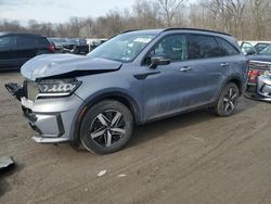 Salvage cars for sale at Ellwood City, PA auction: 2021 KIA Sorento EX