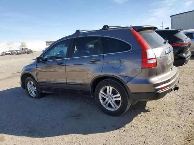 2010 Honda CR-V EXL