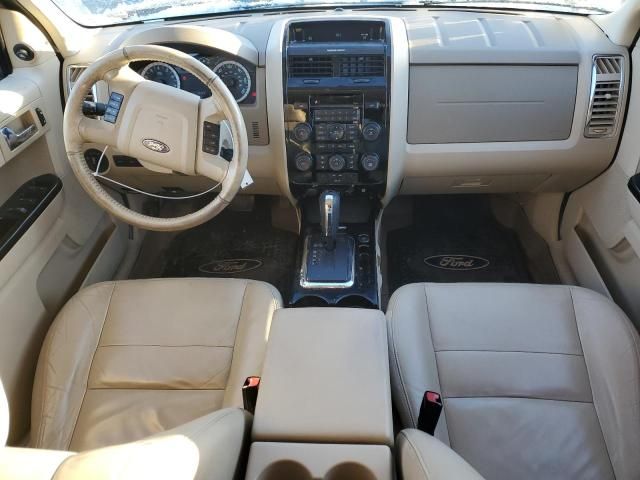 2010 Ford Escape Limited