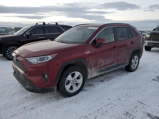 2019 Toyota Rav4 XLE