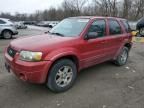 2005 Ford Escape Limited