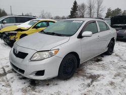 Salvage cars for sale from Copart Ontario Auction, ON: 2010 Toyota Corolla Base