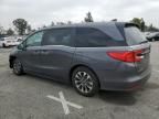 2023 Honda Odyssey EXL