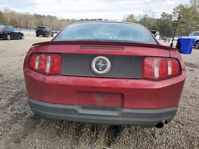 2010 Ford Mustang