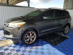 Salvage cars for sale at West Palm Beach, FL auction: 2015 Ford Escape Titanium