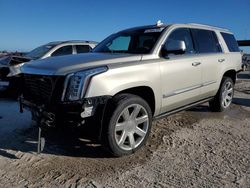 Salvage cars for sale at West Palm Beach, FL auction: 2017 Cadillac Escalade Premium Luxury