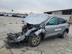 Salvage cars for sale at Corpus Christi, TX auction: 2024 Ford Escape Active