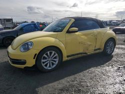 Salvage cars for sale at Eugene, OR auction: 2015 Volkswagen Beetle TDI