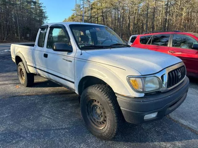 2001 Toyota Tacoma XTR