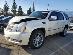 Cadillac salvage cars for sale: 2008 Cadillac Escalade Luxury