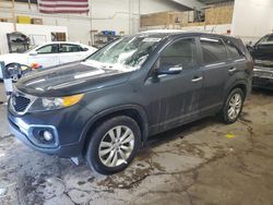 Salvage cars for sale at Ham Lake, MN auction: 2011 KIA Sorento EX