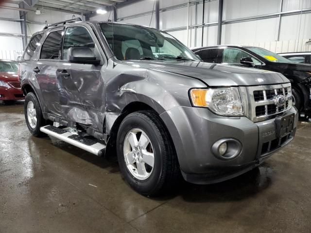 2012 Ford Escape XLT