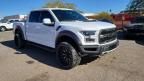 2019 Ford F150 Raptor