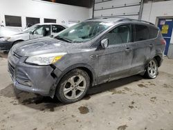 Salvage cars for sale at Blaine, MN auction: 2013 Ford Escape SE