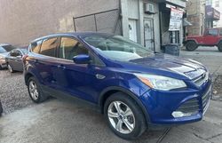 Salvage cars for sale at Hillsborough, NJ auction: 2013 Ford Escape SE