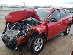 2023 Hyundai Tucson SEL en venta en Louisville, KY