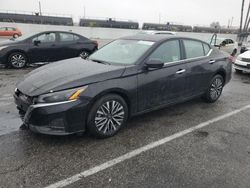 Salvage cars for sale at Van Nuys, CA auction: 2025 Nissan Altima SV