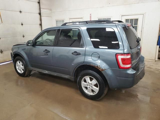 2010 Ford Escape XLT