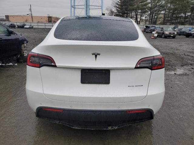 2020 Tesla Model Y