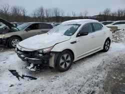 2013 KIA Optima Hybrid en venta en Marlboro, NY