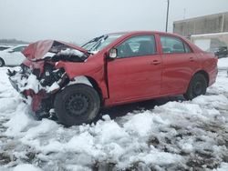 Salvage cars for sale at Fredericksburg, VA auction: 2010 Toyota Corolla Base