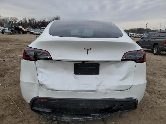 2025 Tesla Model Y