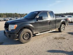 Salvage trucks for sale at Harleyville, SC auction: 2013 Ford F150 Super Cab